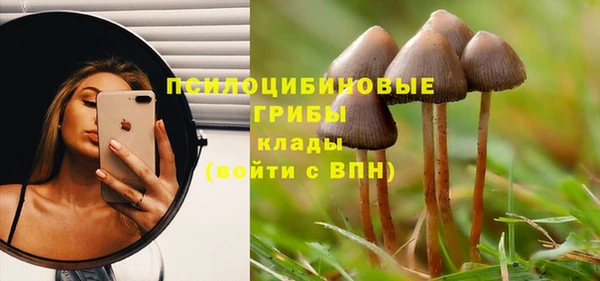 гидра Заводоуковск