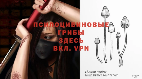 MESCALINE Заволжье