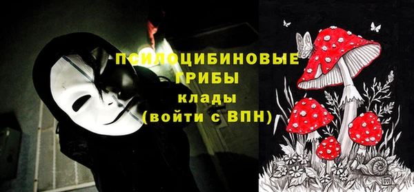 гидра Заводоуковск