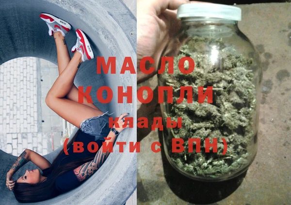 гидра Заводоуковск