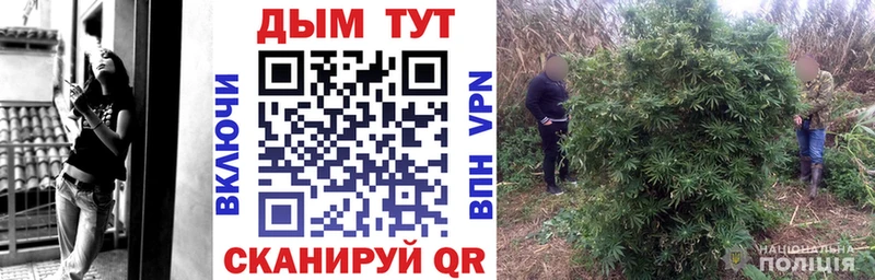 Марихуана сатива Октябрьск